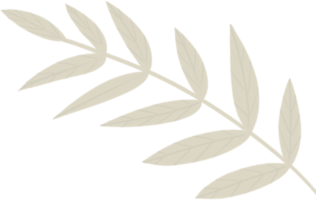 hoja